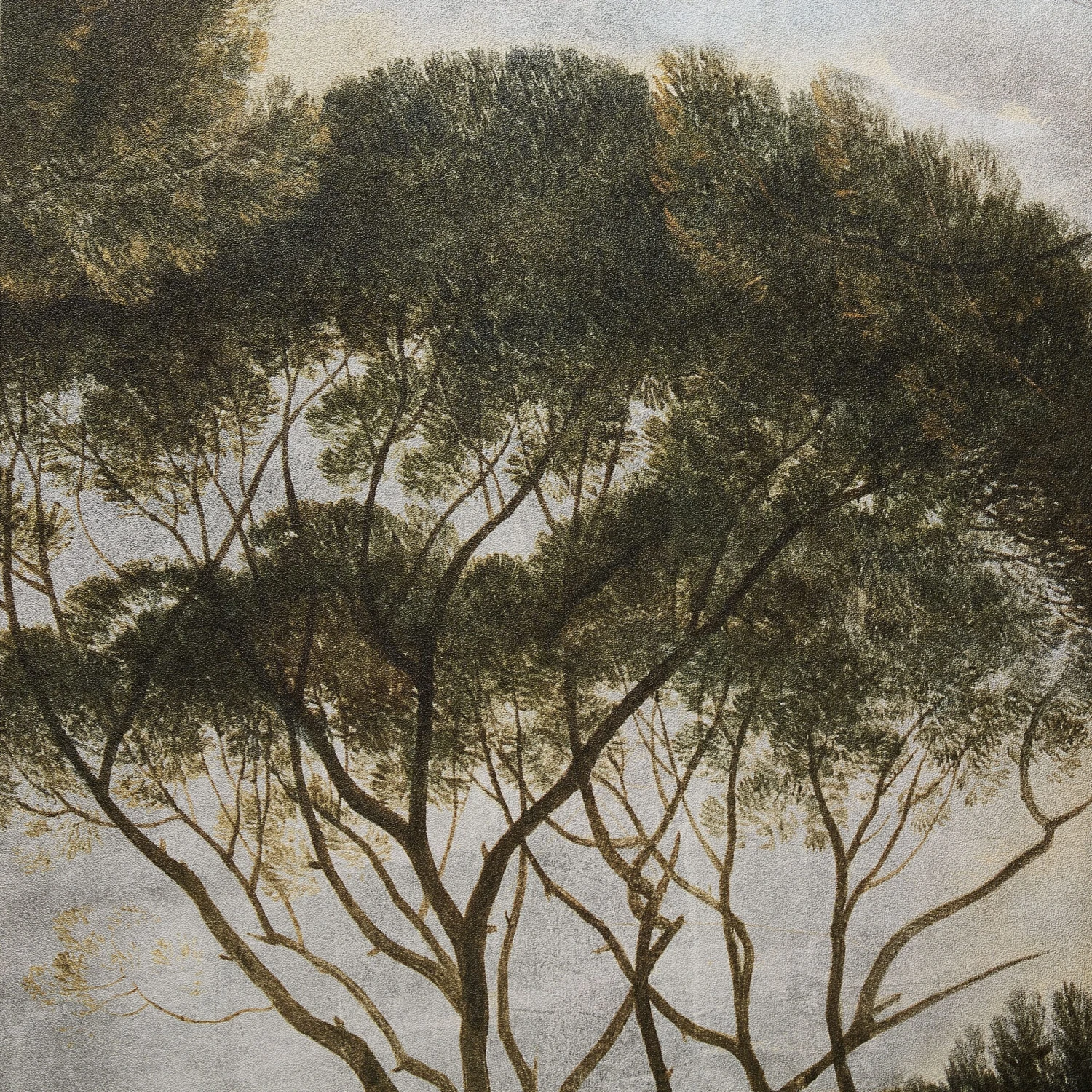 GoodHome Triphan Multicolour Trees Matt Mural 7 GoodHome Triphan Multicolour Trees Matt Mural - Image 5