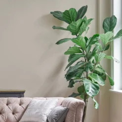 Laura Ashley Soft Natural Eggshell Emulsion Paint, 750ml 10 Laura Ashley Soft Natural Eggshell Emulsion Paint, 750ml -Paint Decoration laura ashley soft natural eggshell emulsion paint 750ml5011583473544 02i bq