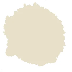 Rust-Oleum Natural Effects Limestone Matt Textured Effect Multi-surface Spray Paint, 400ml 7 Rust-Oleum Natural Effects Limestone Matt Textured Effect Multi-surface Spray Paint, 400ml -Paint Decoration rust oleum natural effects limestone matt textured effect multi surface spray paint 400ml5013296953573 21c bq